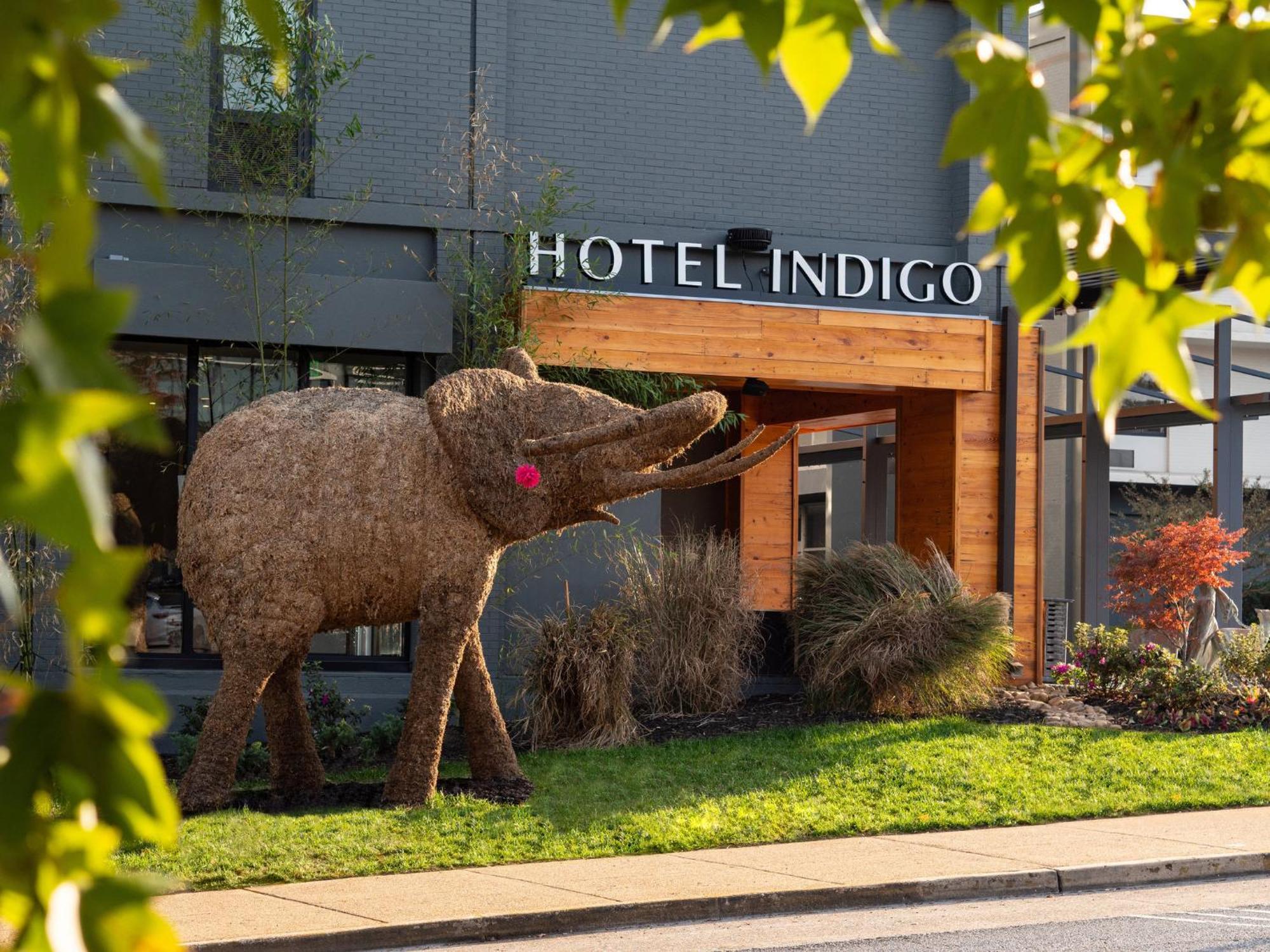 Hotel Indigo Chattanooga - Downtown By Ihg Luaran gambar